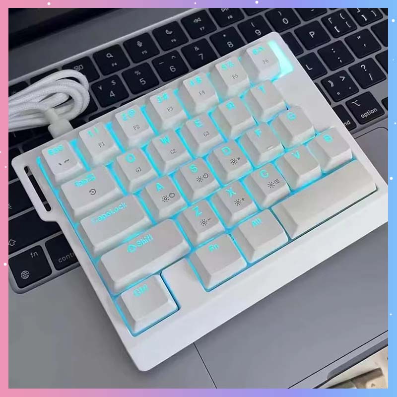 Gaming Keyboard Magnetic Switches - HE30 Mechanische Gaming-Tastatur 29 Tasten Magnetischer