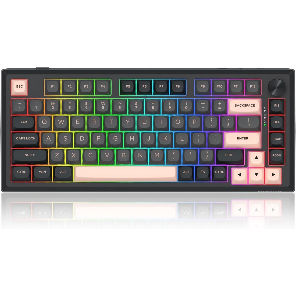 Kabellose 81-Tasten Mechanisch – Gaming Keyboard No Noise Bewertung und Preis
