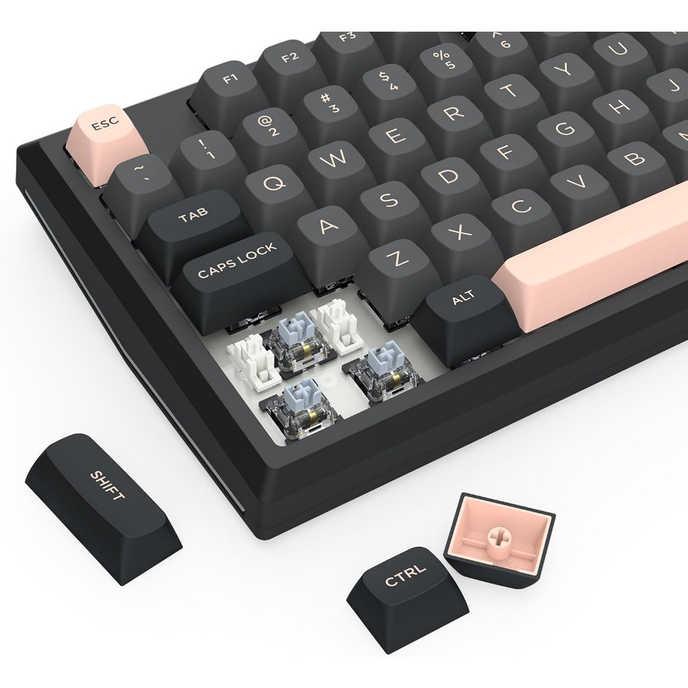 Kabellose 81-Tasten Mechanisch – Gaming Keyboard No Noise Bewertung und Preis
