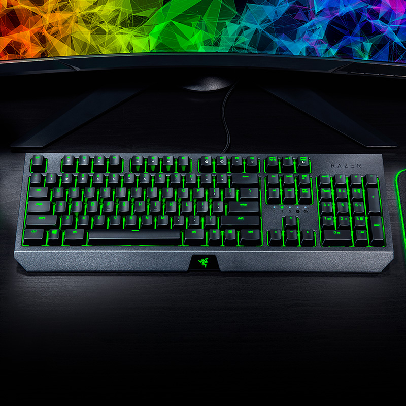 Razer Black widow wesentliche  – Gaming Keyboard Ergonomics Bewertung und Preis
